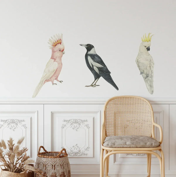 Three australian Native Birds: Pink Galah, Magpie, and White Cockatoo bird wall decals on a white wall above a wooden chair.
