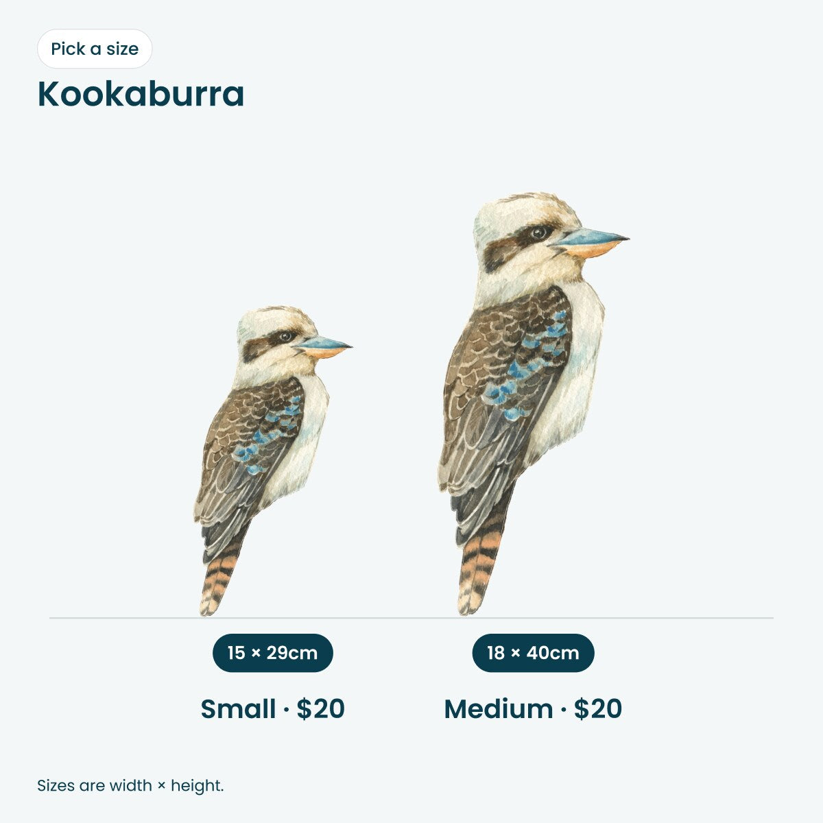 Kookaburra wall decal: Small 15 x 29cm, Medium 18 x 40cm, $20