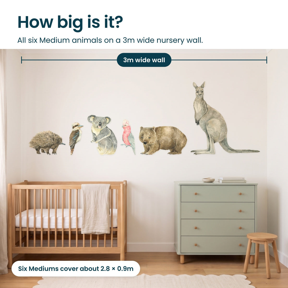How big are all six Medium Australian animals on a 3m wide nursery wall