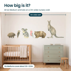Removable Wall Decals 