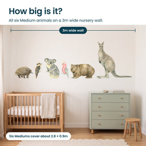 Removable Wall Decals 