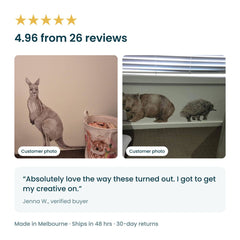 Removable Wall Decals 