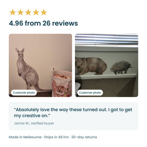 Removable Wall Decals 