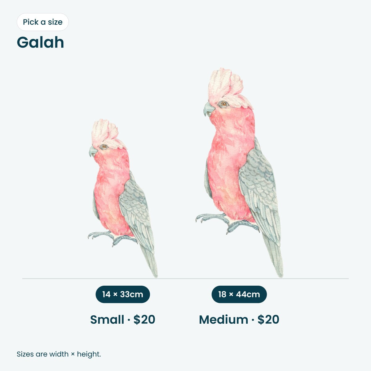 Galah wall decal: Small 14 x 33cm, Medium 18 x 44cm, $20