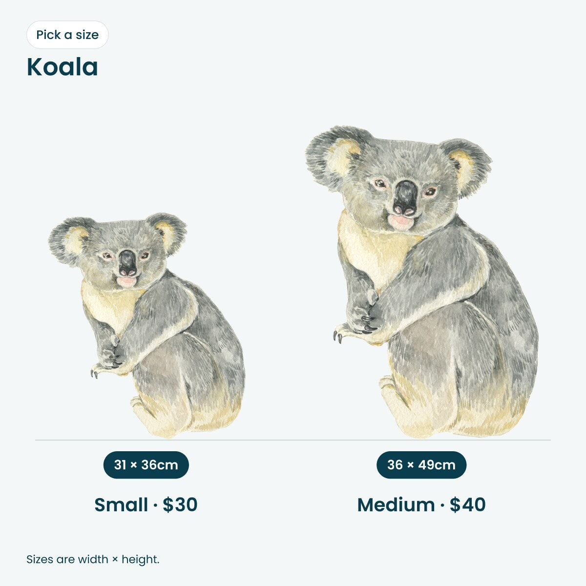 Koala wall decal: Small 31 x 36cm $30, Medium 36 x 49cm $40