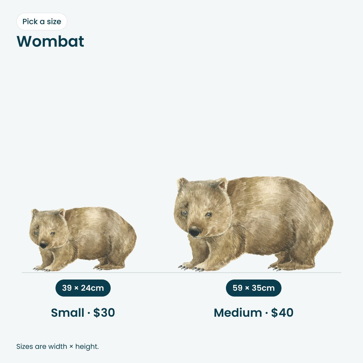 Wombat wall decal: Small 39 x 24cm $30, Medium 59 x 35cm $40