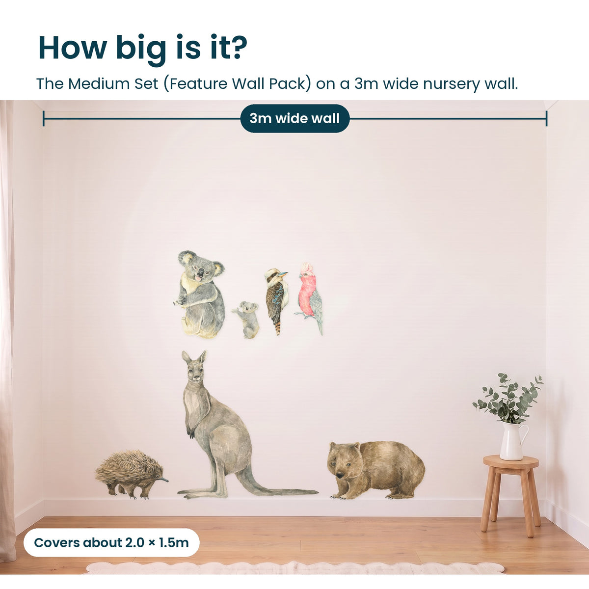 How big is the Australian animal Medium Set on a 3m wall