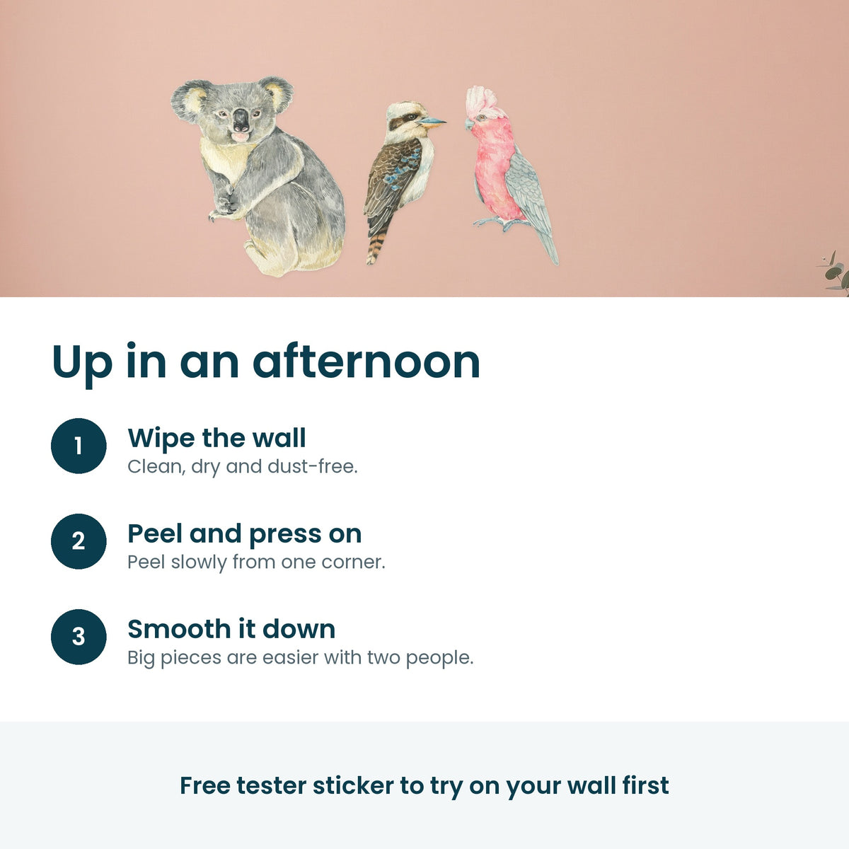 How to put up the Australian animal decals