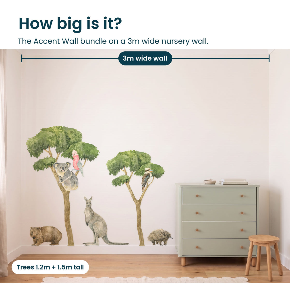 How big is the Australian Bush Accent Wall bundle on a 3m wide nursery wall