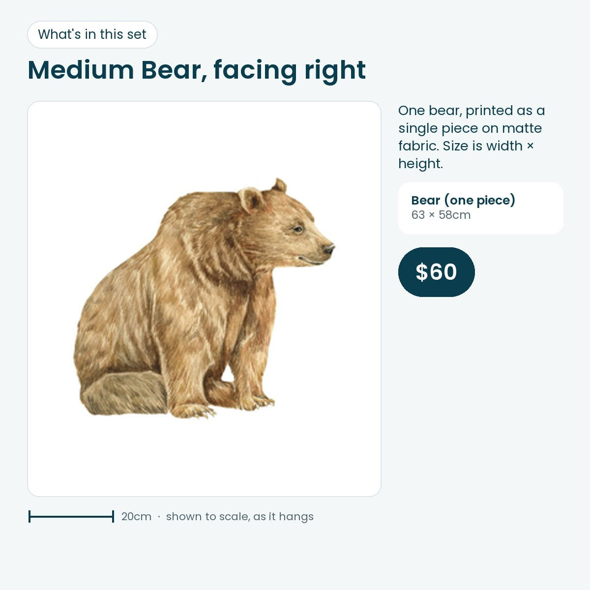 Medium bear decal facing right, 63 × 58cm, one piece