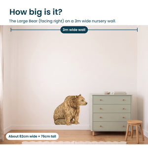 Removable Wall Decals 