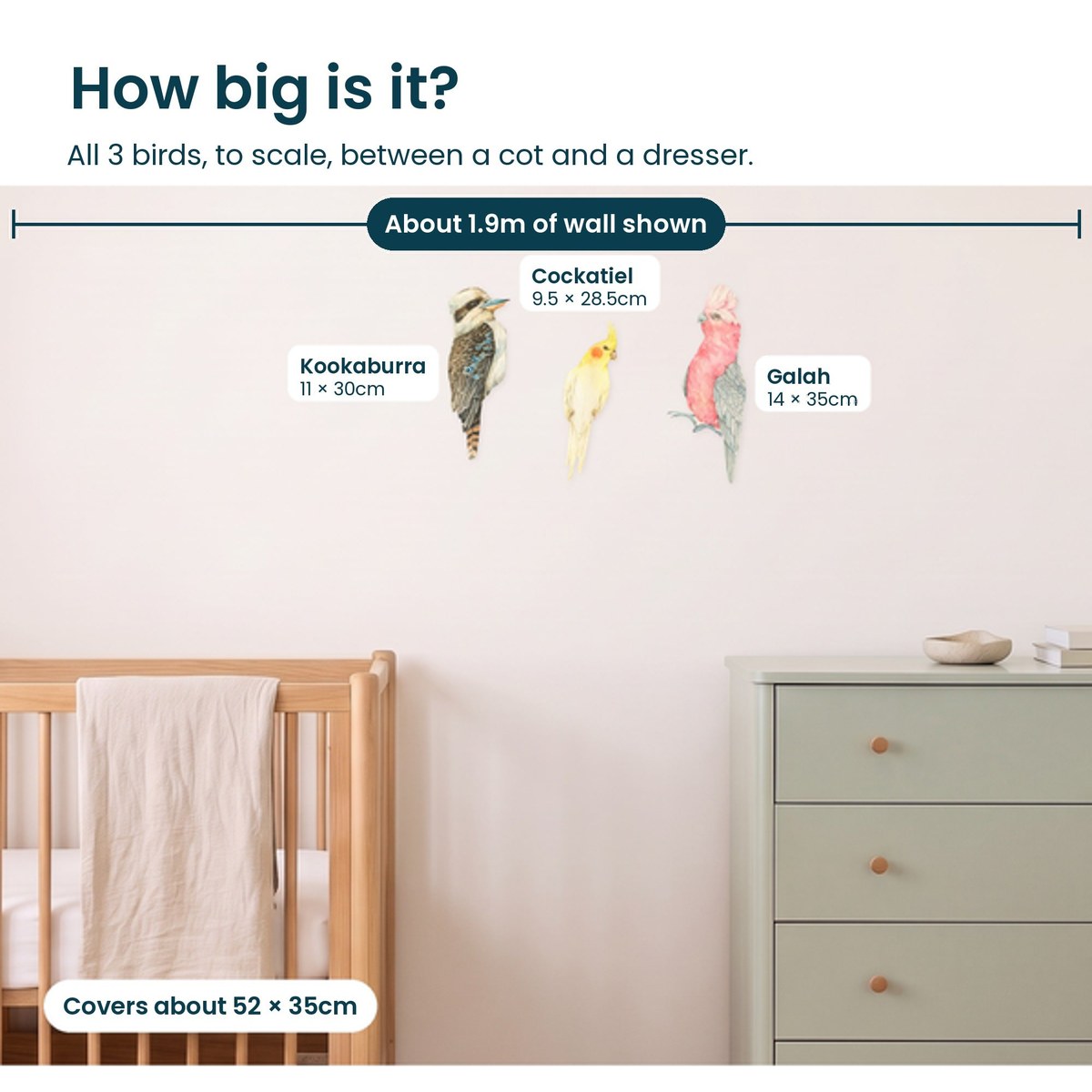 How big are the native bird decals on a nursery wall