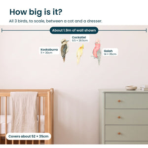 Removable Wall Decals 