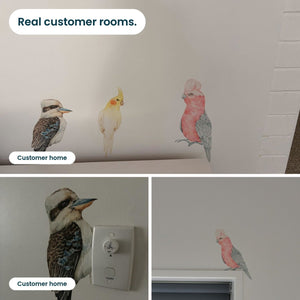 Removable Wall Decals 