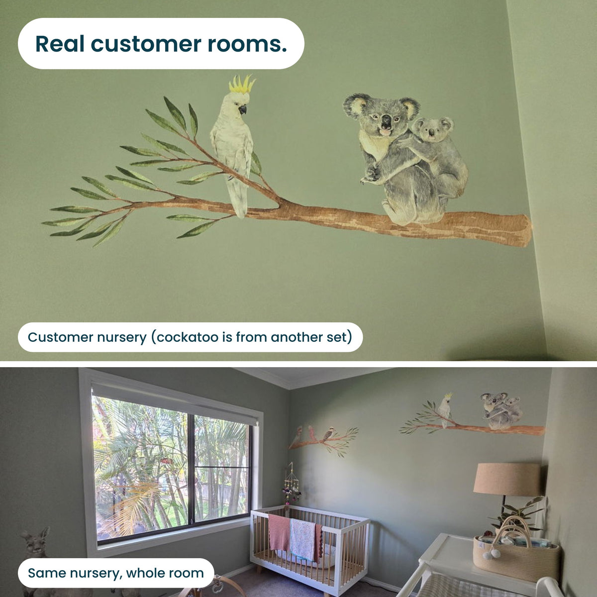 Gum branch and koala wall decals in real customers' rooms