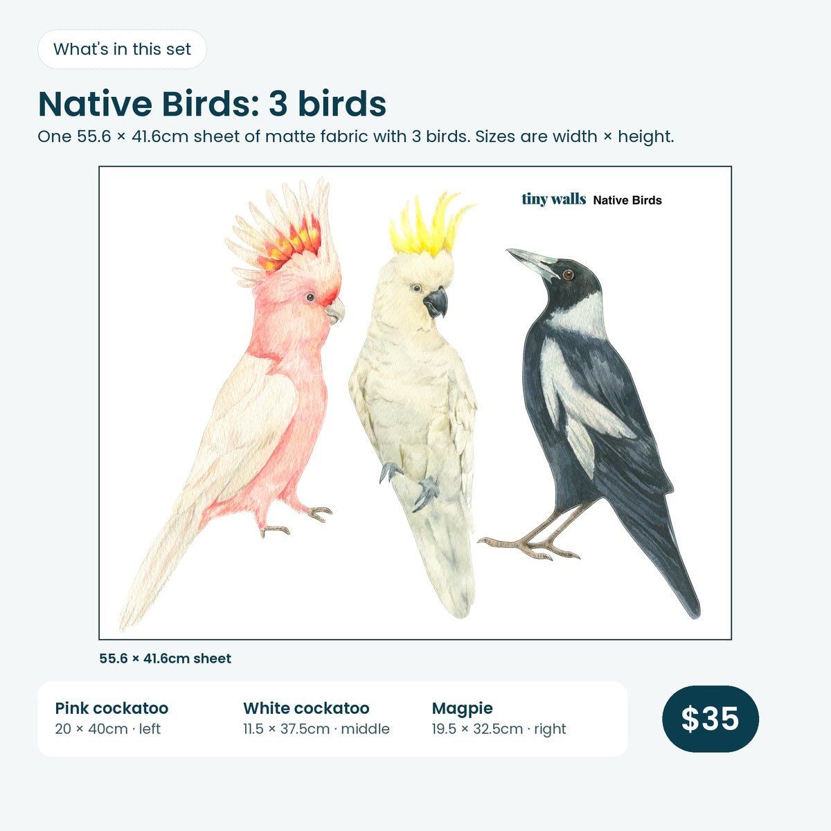 Cockatoo and magpie print sheet and sizes