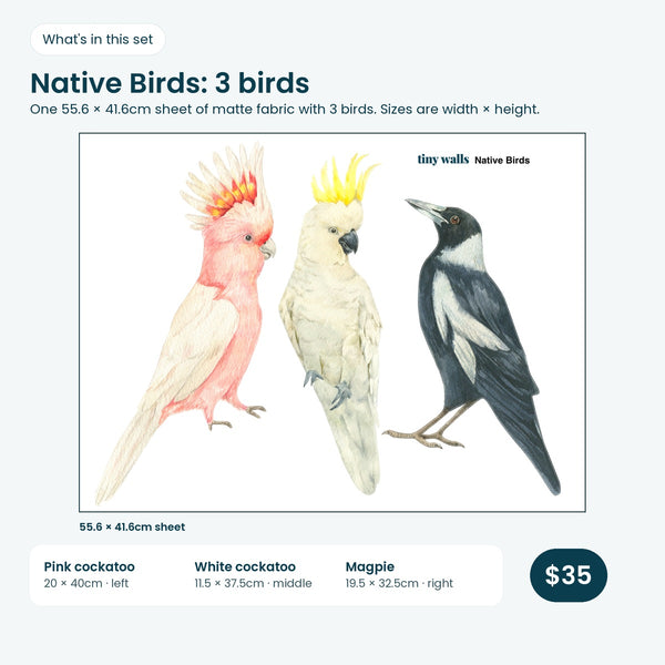 Cockatoo and magpie print sheet and sizes