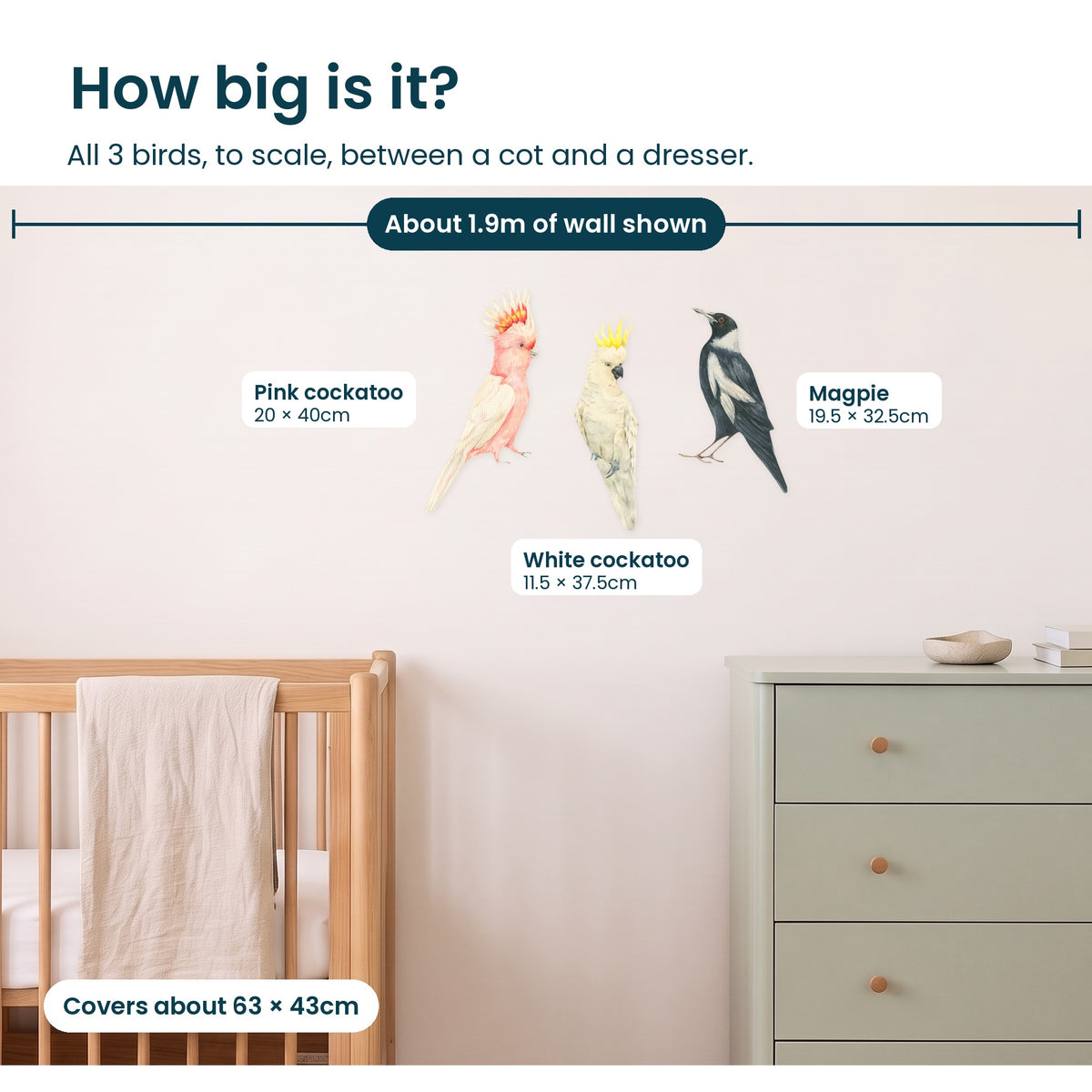 How big are the cockatoo and magpie decals on a nursery wall