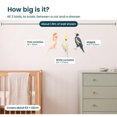Removable Wall Decals 