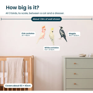 Removable Wall Decals 