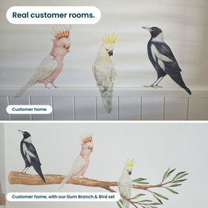 Removable Wall Decals 