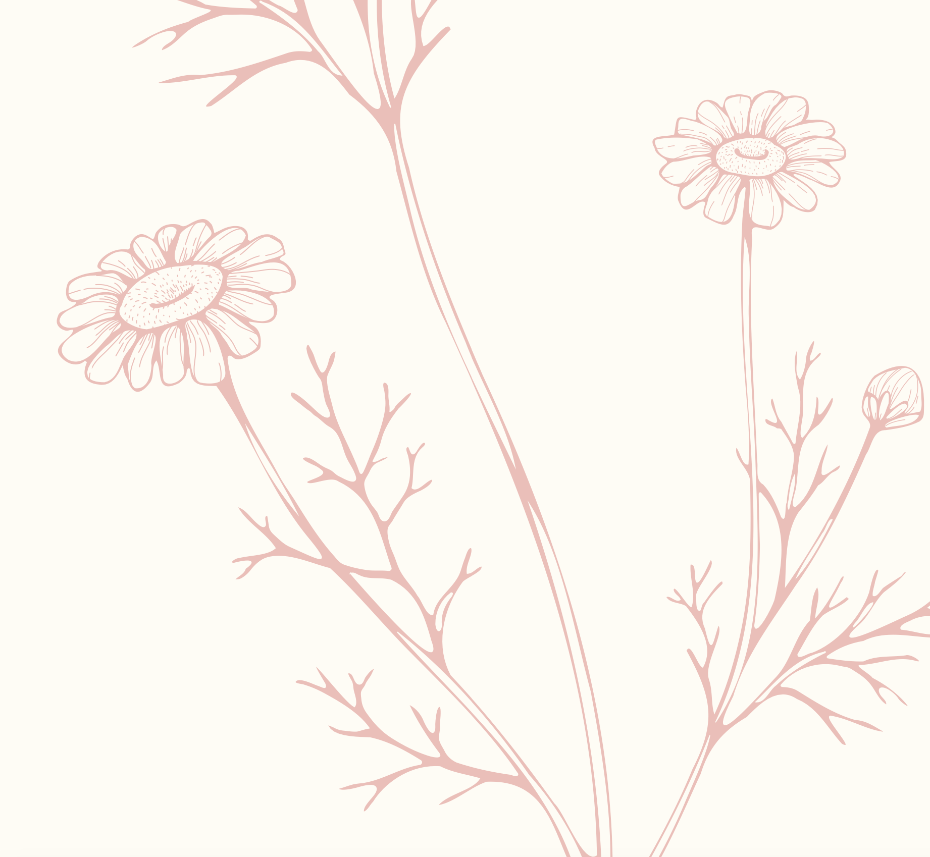 Decorative illustration of flowers and branches on a light pink background