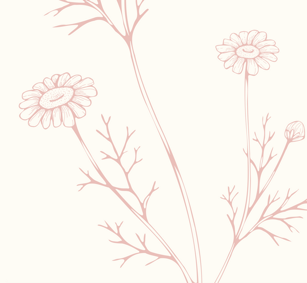 Decorative illustration of flowers and branches on a light pink background