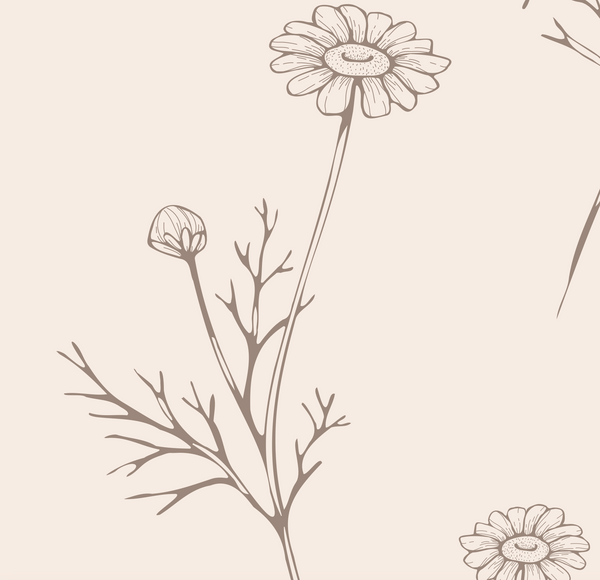 Illustration of flowers on a beige background