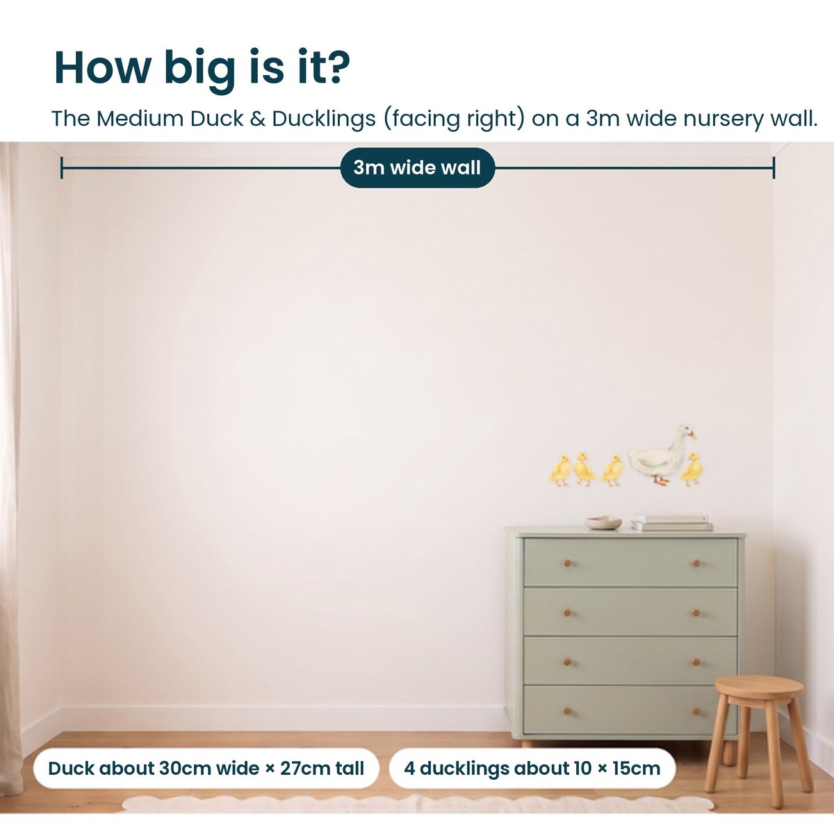 Medium duck and four ducklings facing right shown to scale on a 3m nursery wall