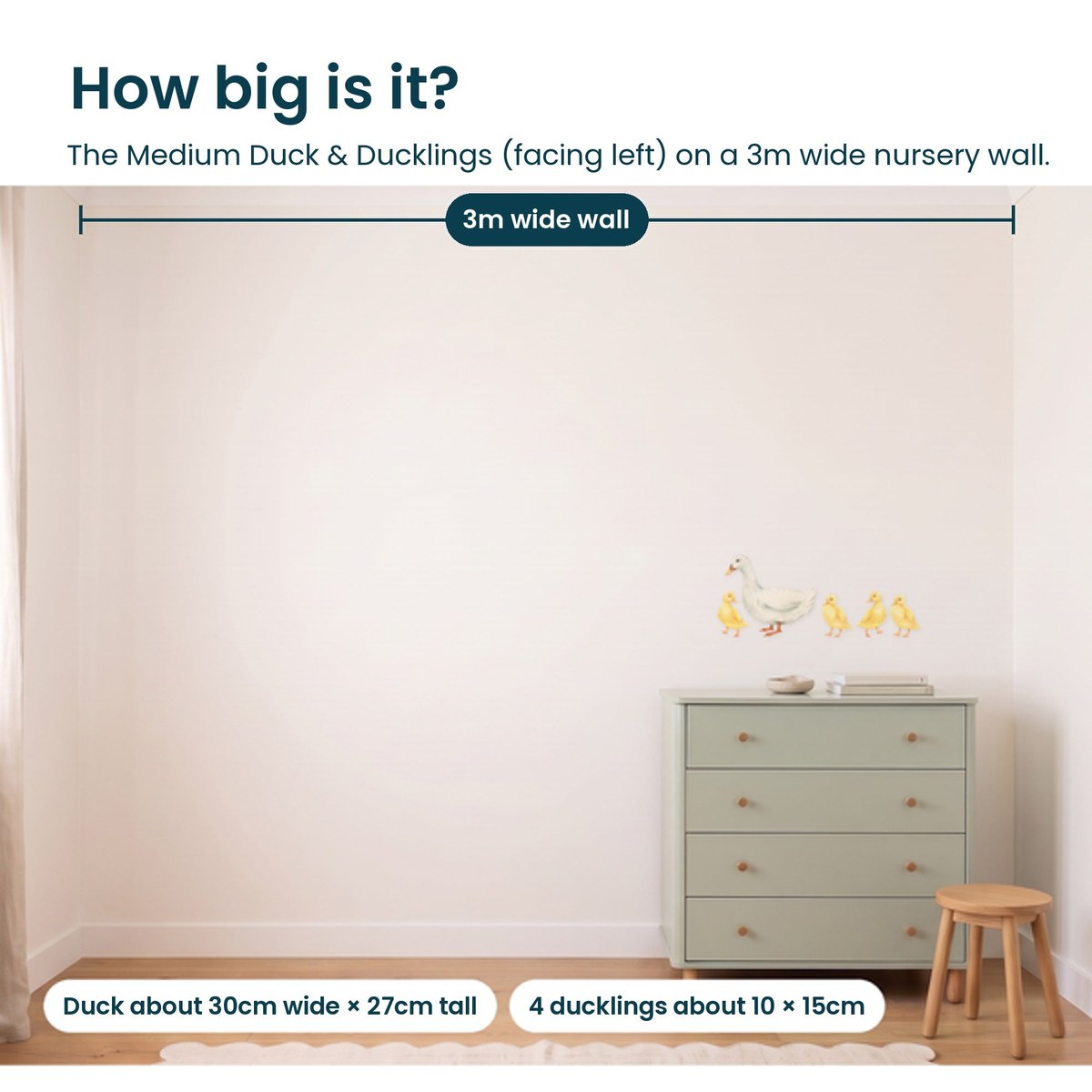 Medium duck and four ducklings facing left shown to scale on a 3m nursery wall