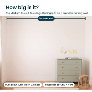 Removable Wall Decals 