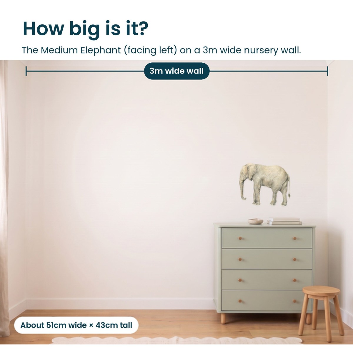 Medium elephant facing left shown to scale on a 3m nursery wall