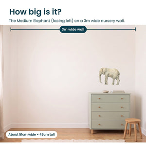 Removable Wall Decals 