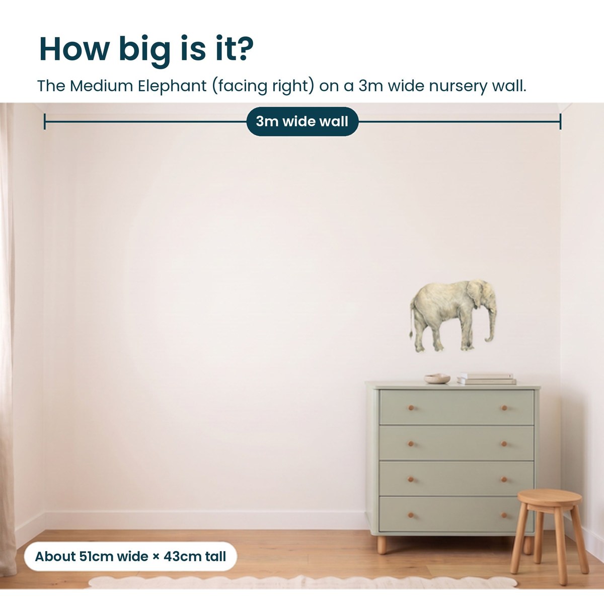 Medium elephant facing right shown to scale on a 3m nursery wall