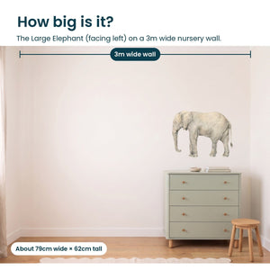 Removable Wall Decals 