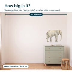 Removable Wall Decals 