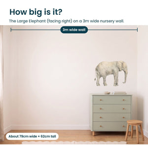 Removable Wall Decals 