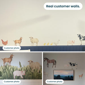 Removable Wall Decals 