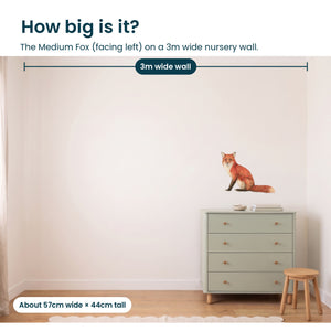 Removable Wall Decals 