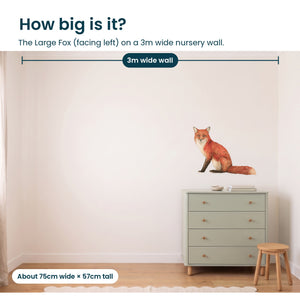 Removable Wall Decals 