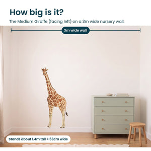 Removable Wall Decals 