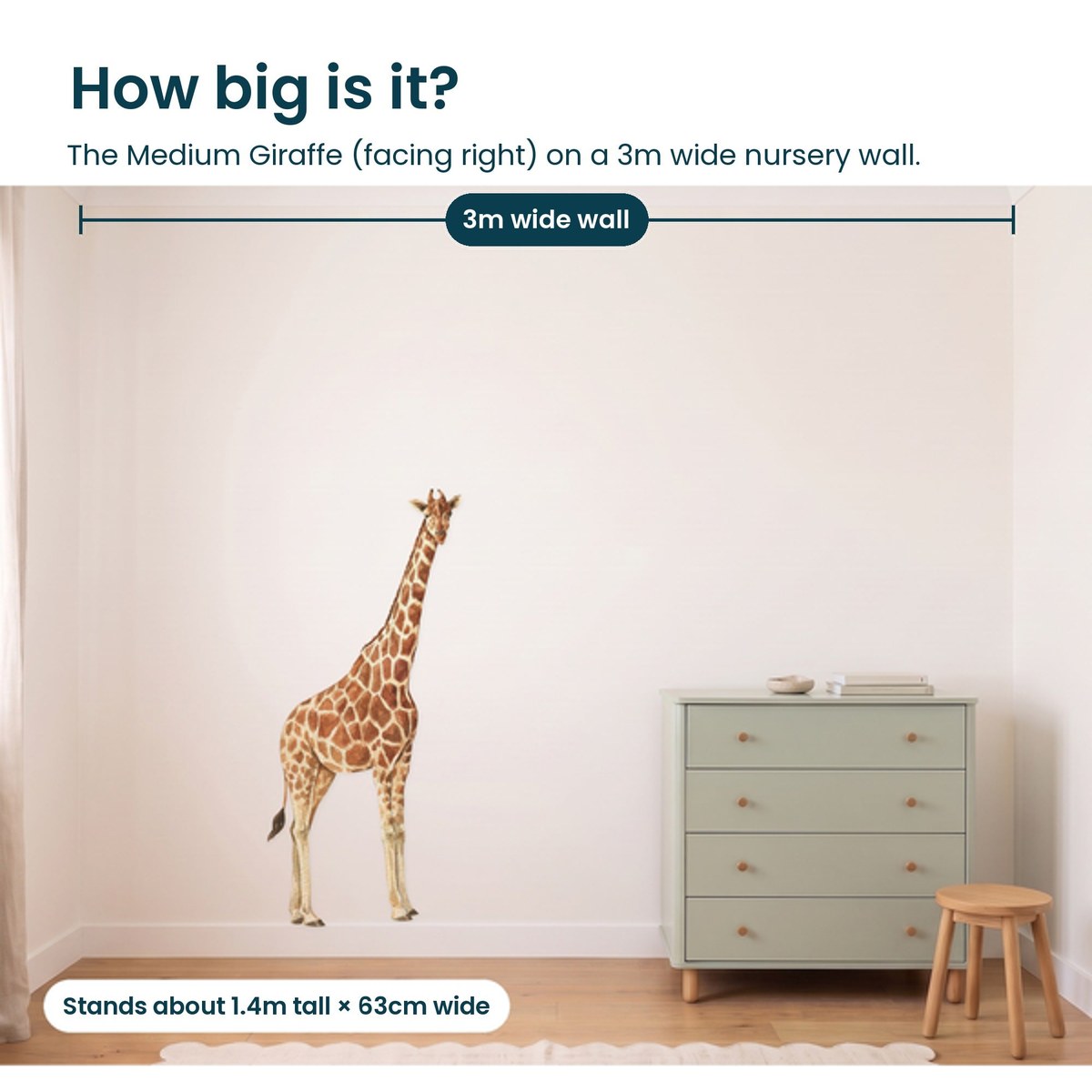 How big is the medium giraffe facing right on a 3m wall