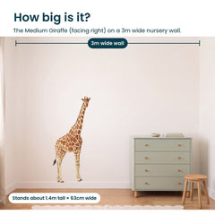 Removable Wall Decals 