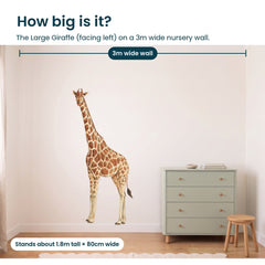 Removable Wall Decals 