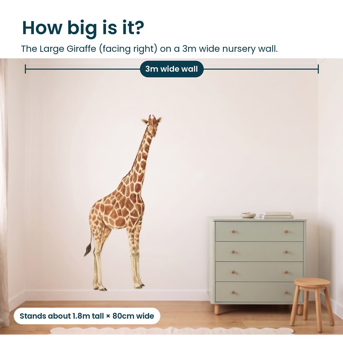 How big is the large giraffe facing right on a 3m wall