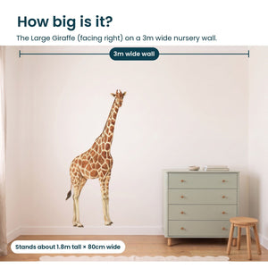Removable Wall Decals 