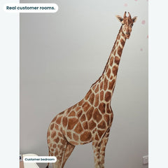 Removable Wall Decals 