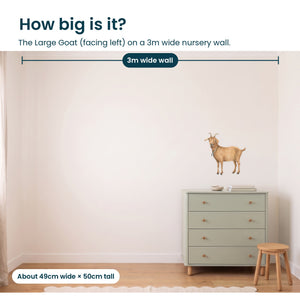 Removable Wall Decals 