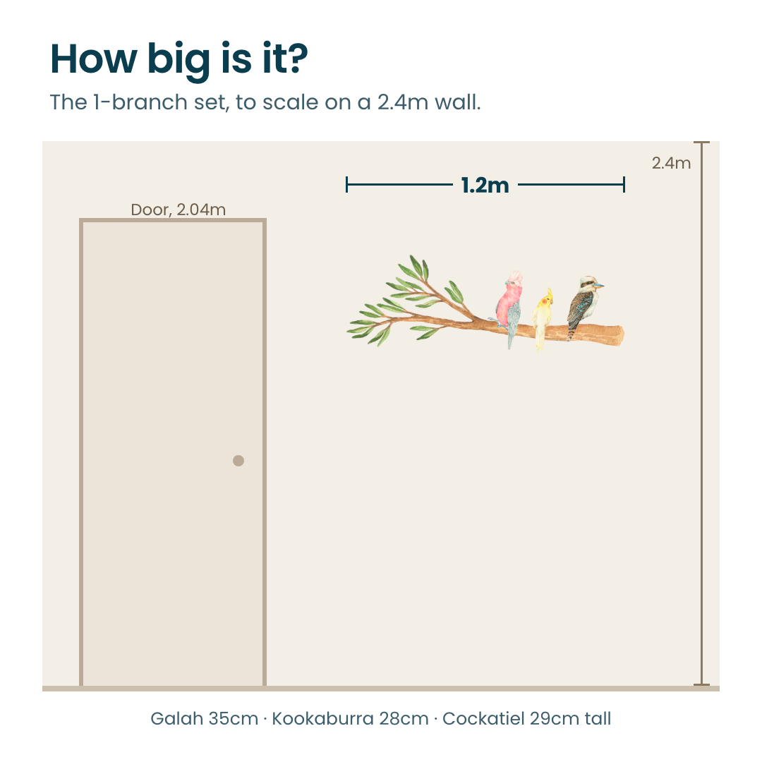 How big is it: the 1.2m gum branch with galah, cockatiel and kookaburra shown to scale on a 2.4m wall next to a standard door