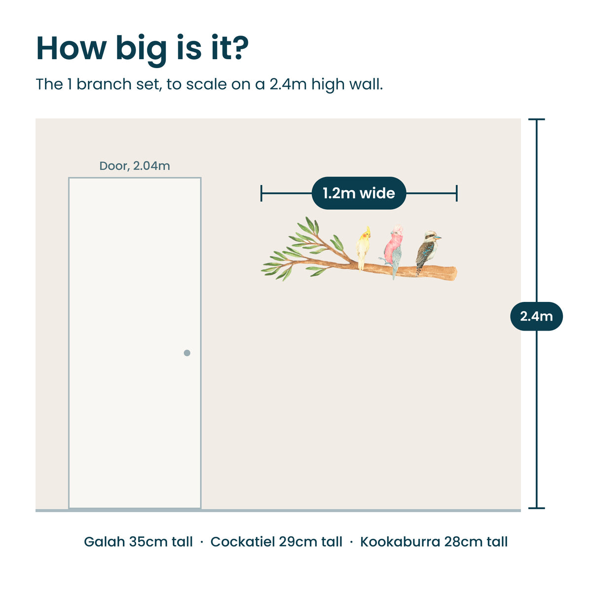 How big is it: the 1.2m gum branch with three birds shown to scale on a 2.4m high wall next to a standard door